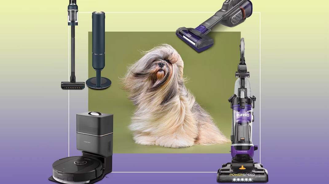 Top 5 Vacuums for Pet Hair in 2025