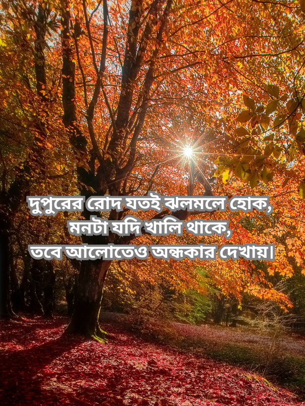 দুপুরের রোদ যতই ঝলমলে হোক, মনটা যদি খালি থাকে, তবে আলোতেও অন্ধকার দেখায়.png