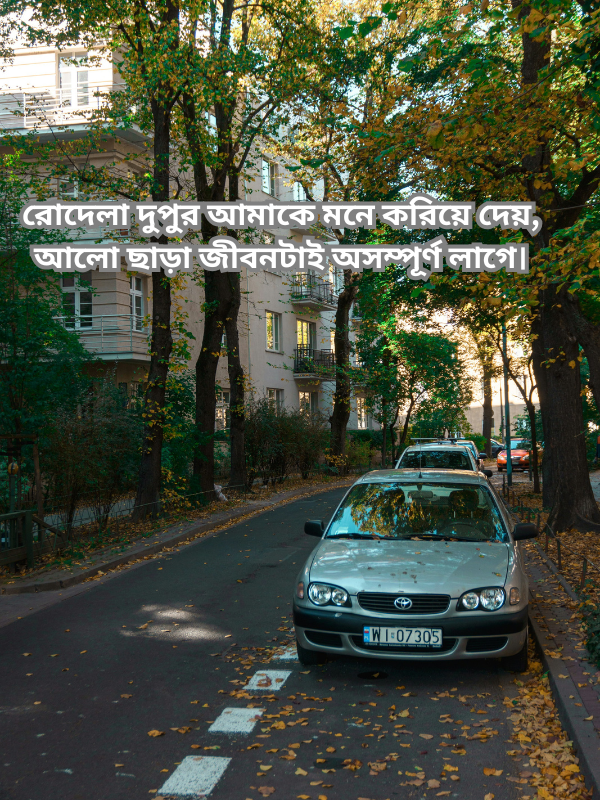 রোদেলা দুপুর আমাকে মনে করিয়ে দেয়, আলো ছাড়া জীবনটাই অসম্পূর্ণ লাগে.png