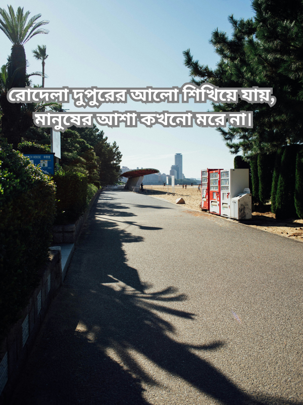 রোদেলা দুপুরের আলো শিখিয়ে যায়, মানুষের আশা কখনো মরে না.png