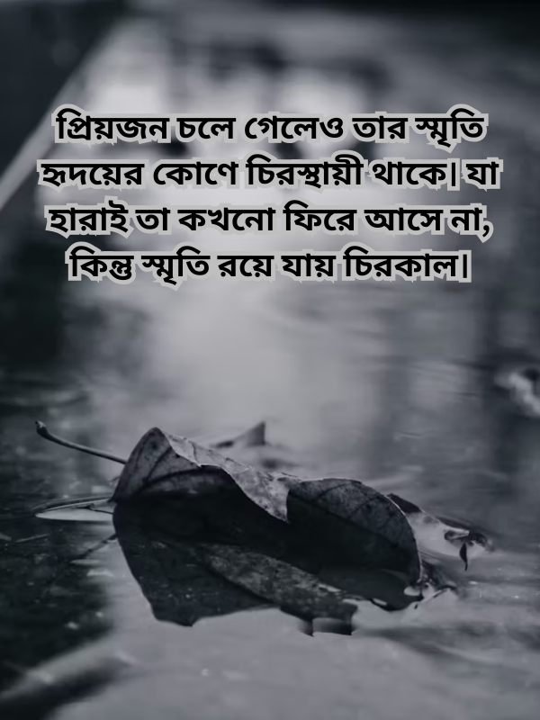 প্রিয়জন চলে গেলেও তার স্মৃতি হৃদয়ের কোণে চিরস্থায়ী থাকে.png
