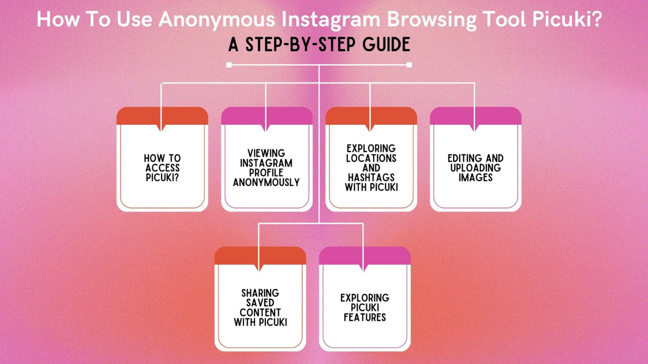 How to Use Picuki