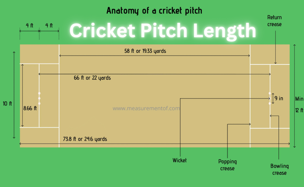 Cricket Pitch Length: The Exact Numbers Every Fan Should Know